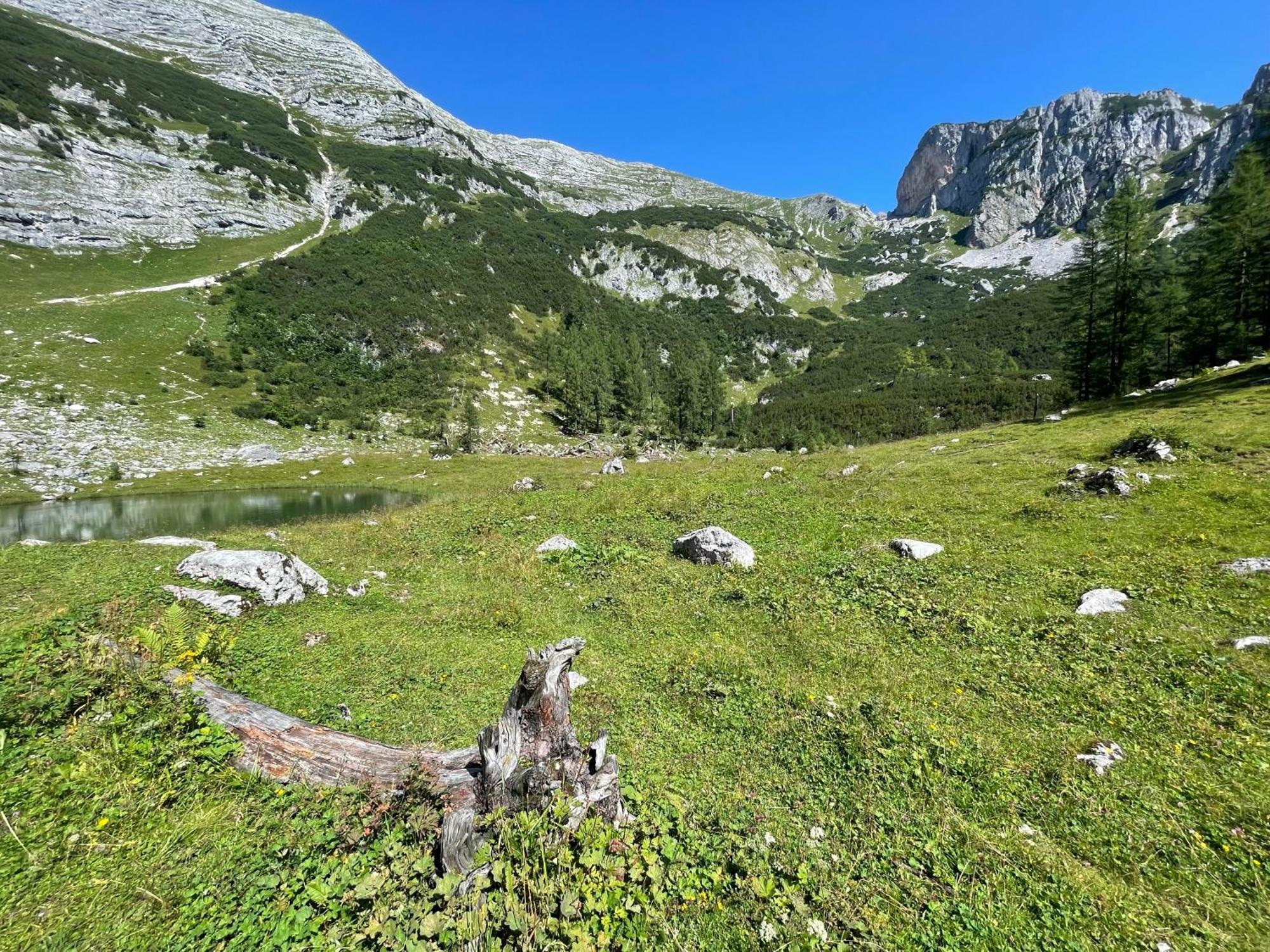 Appartements Olympia Mayrhofen Ngoại thất bức ảnh