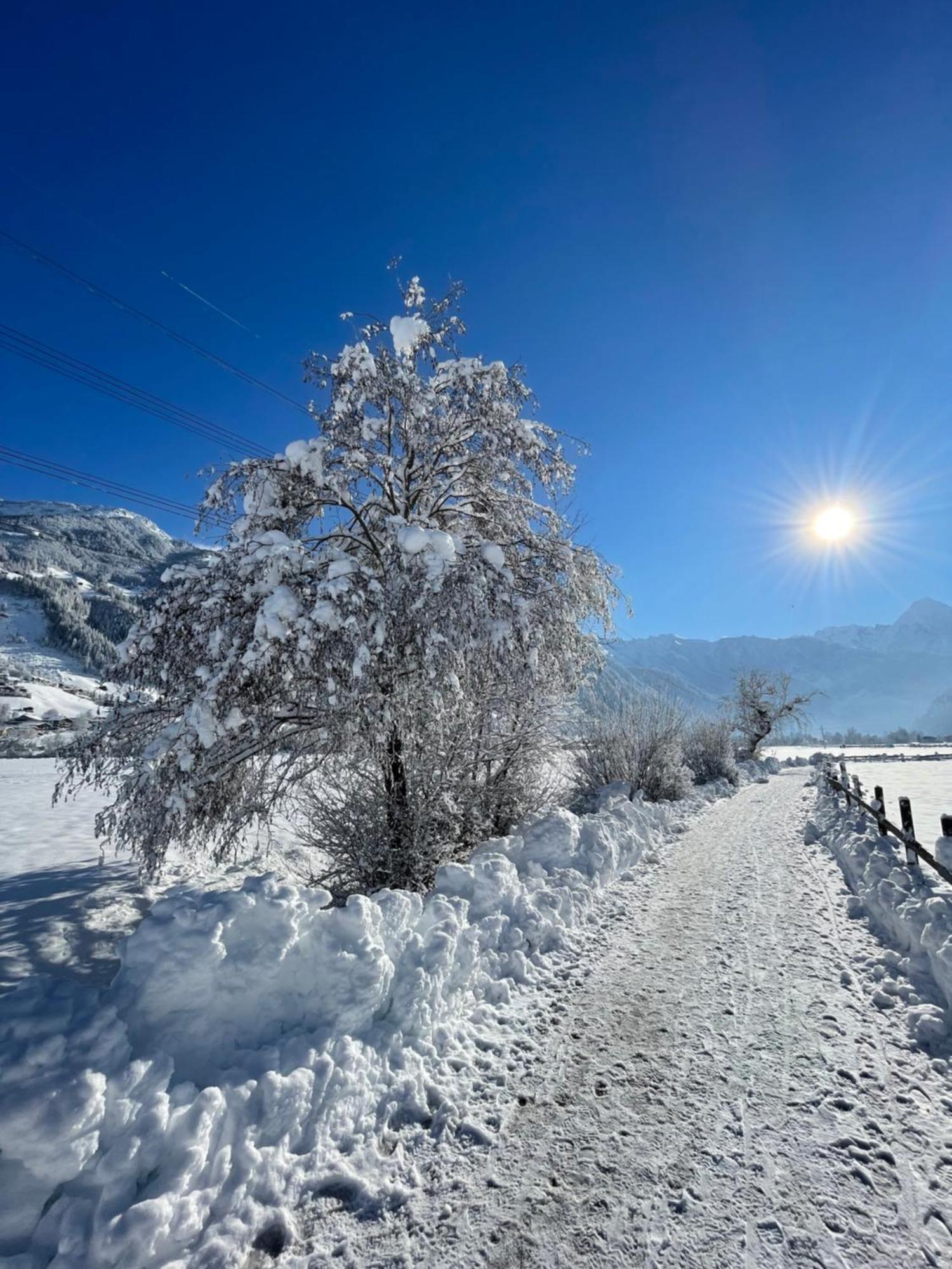 Appartements Olympia Mayrhofen Ngoại thất bức ảnh